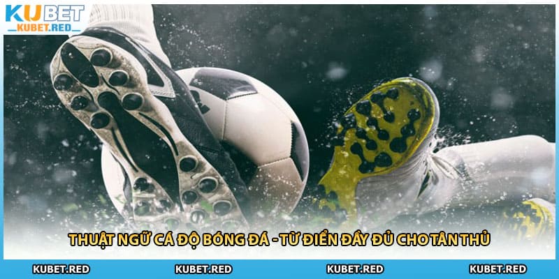 Thuật Ngữ Cá Độ Bóng Đá - Từ Điển Đầy Đủ Cho Tân Thủ